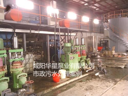 華星節(jié)能柱塞泵在污水處理廠(chǎng)使用現(xiàn)場(chǎng)